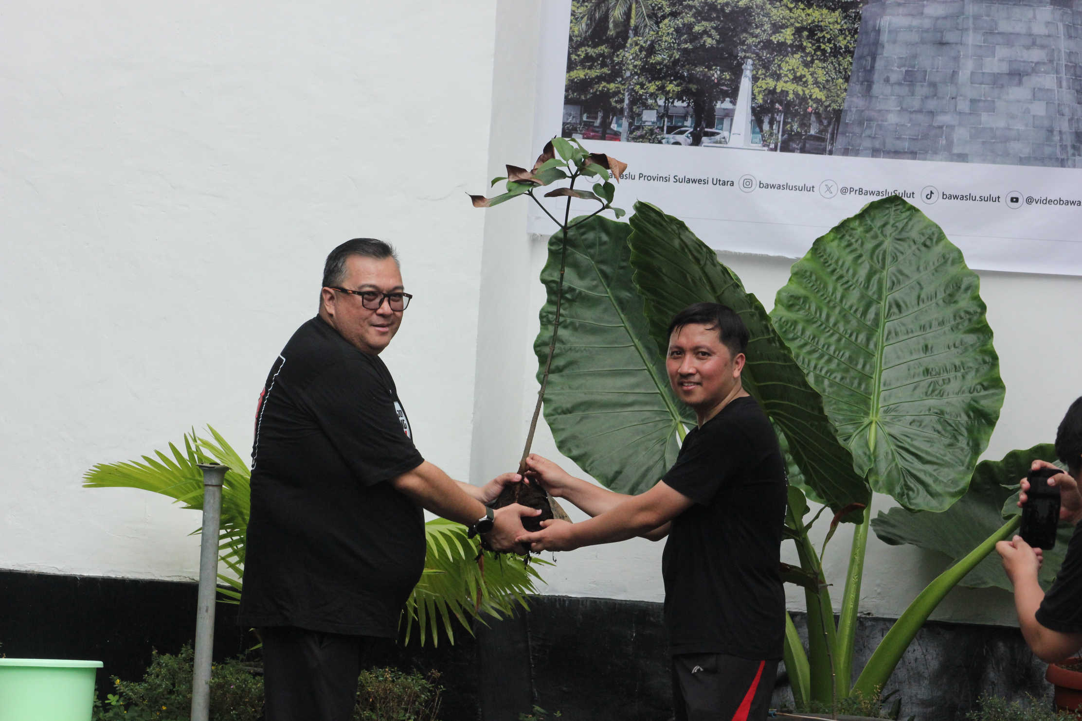 Simbol Integritas, Bawaslu Sulut Lakukan Penanaman Bibit Pohon Manggis